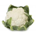 Bloemkool Bloemkool