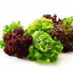 Salade Salade