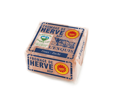 herve lexquis zacht herve lexquis zacht