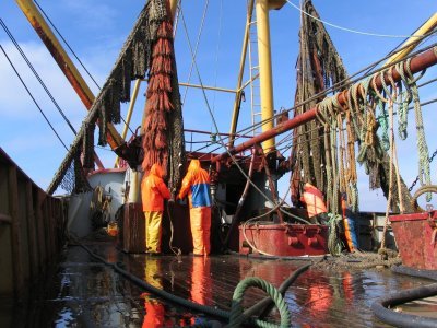 Vissers op schip Vissers op schip