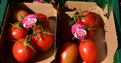 Vitaetom - biotomaten Vitaetom - biotomaten