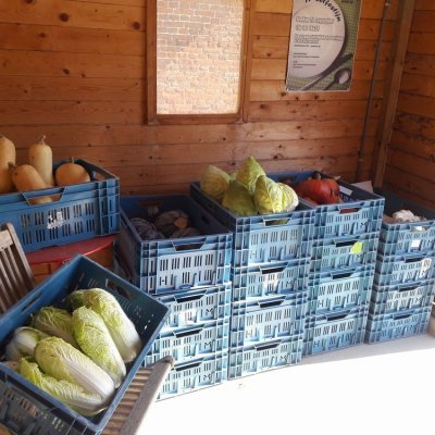 Welke producten kan je hier vinden?