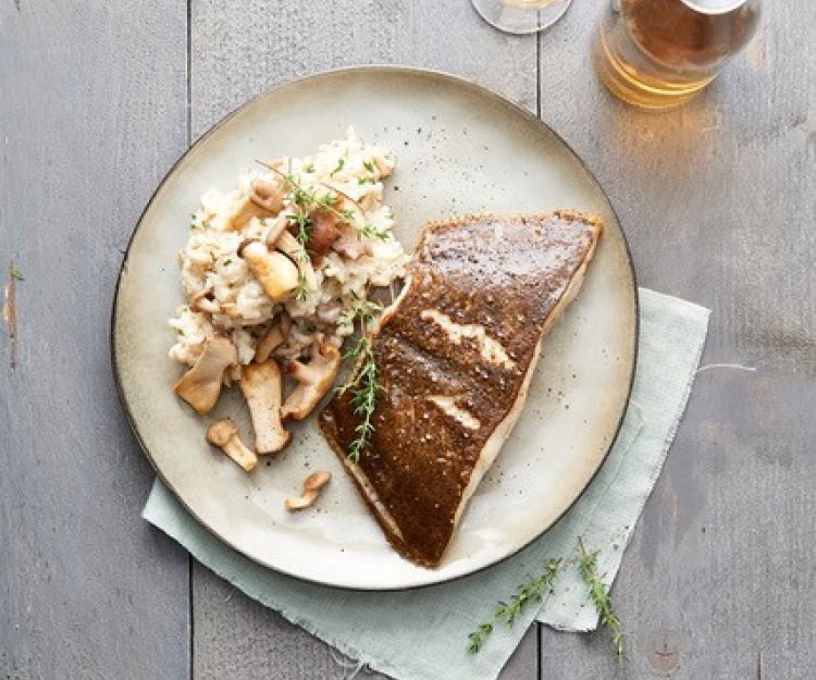 Darne de turbot et risotto de champignons, fromage et huile de truffe Darne de turbot et risotto de champignons, fromage et huile de truffe