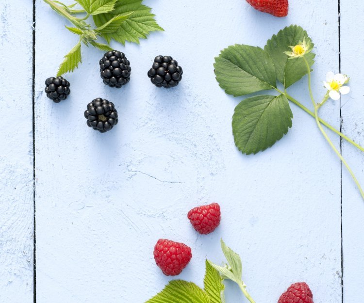 Pudding aux framboises