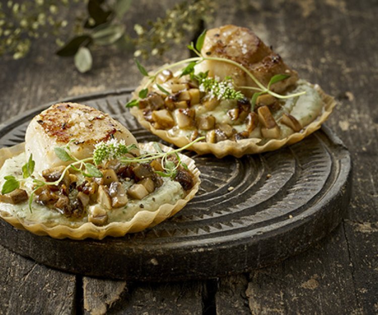 Filodeegtaartje met knolselderpuree, champignons en Sint-Jakobsvruchten Filodeegtaartje met knolselderpuree, champignons en Sint-Jakobsvruchten