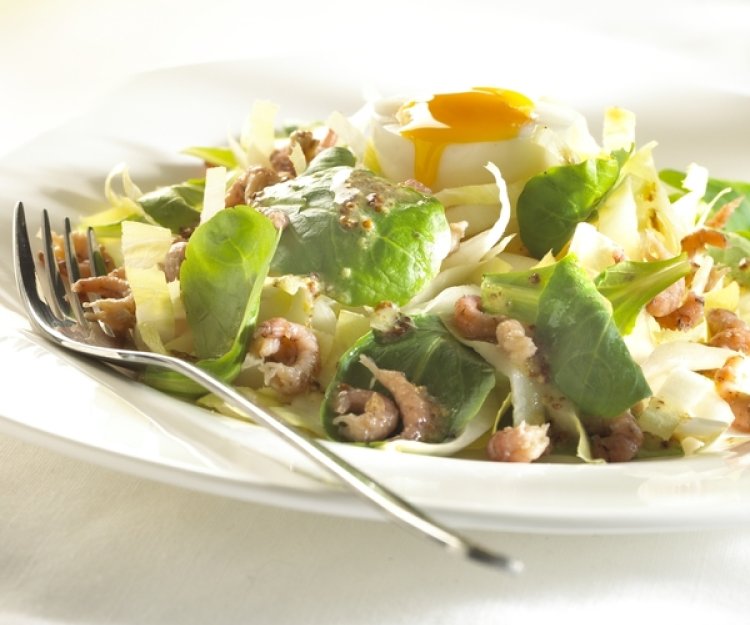 Salade de chicons, œuf mollet et crevettes grises