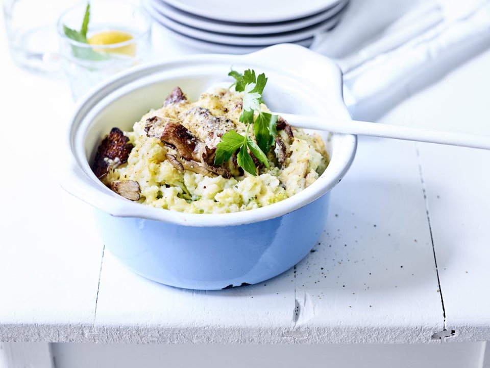 Peuton congeler un plat au four ? Bien de chez nous