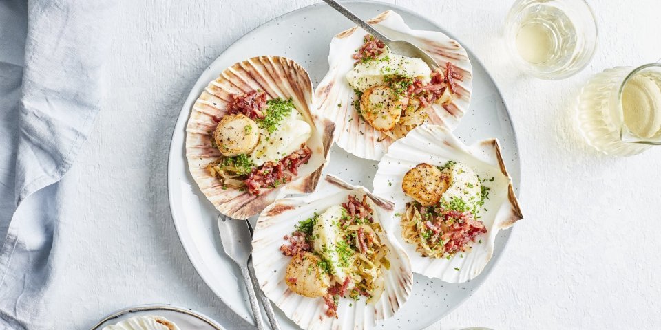 Sint-jakobsvrucht met bloemkoolmousse, witloof en spekjes Sint-jakobsvruchten op een groot bord, opgediend in hun eigen Sint-jakobsschelp met bloemkoolmousse, witloof en spekjes. Glaasjes wijn en bestek ligt mee naast het bord, klaar om het feestmaal aan te vallen.