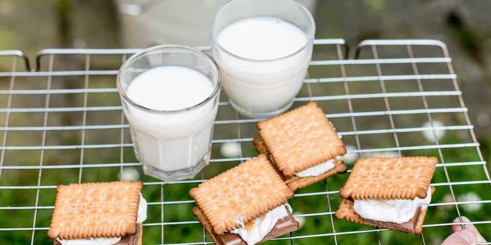 S'mores S'mores