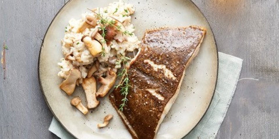 Darne de turbot et risotto de champignons, fromage et huile de truffe Darne de turbot et risotto de champignons, fromage et huile de truffe