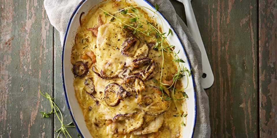 Ovenschotel van steenbolk met prei en garnaaltjes Ovenschotel van steenbolk met prei en garnaaltjes