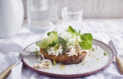 Een heerlijke belegde toast van zuurdesem ligt op een wit bordje met rood-paarse rand. De toast is belegd met vissla van rog, citroen en venkel. 