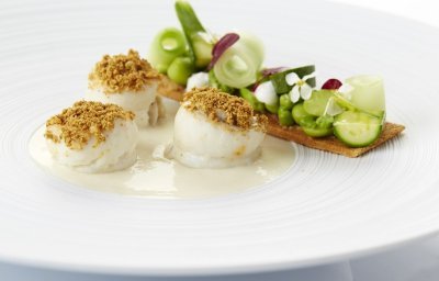 Pladijs, gestoomd op zeealgen met een vichyssoise van Mechelse asperges