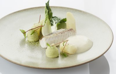 Grondin perlon, bok choy et salsifis avec crème et espuma de céleri-rave