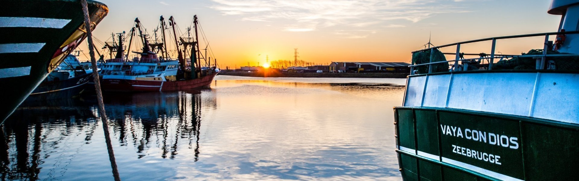 Haven in Zeebrugge met zonsopgang. Verschillende visserboten in de haven tijdens het blauwe uur en stralende zon.